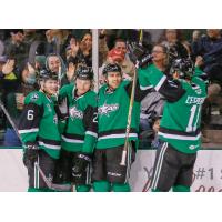 Texas Stars celebrate a goal