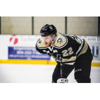 Wheeling Nailers defenseman Kevin Spinozzi