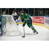 Florida Everblades defenseman Derek Sheppard