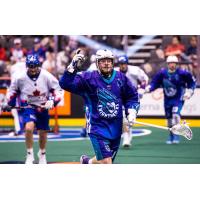 Rochester Knighthawks forward Austin Shanks