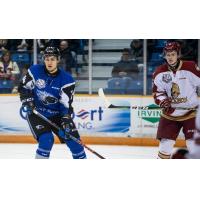 Saint John Sea Dogs vs. the Acadie-Bathurst Titan