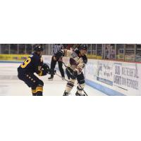 South Carolina Stingrays defenseman Cameron Baker (right) vs. the Norfolk Admirals