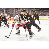 Cleveland Monsters center Justin Scott vs. the Grand Rapids Griffins