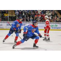 Saginaw Spirit celebrate against the Soo Greyhounds