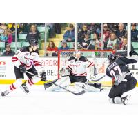 Jared Legien of the Vancouver Giants fires at the Red Deer Rebels goal