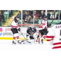 Vancouver Giants goaltender David Tendeck holds the Red Deer Rebels at bay