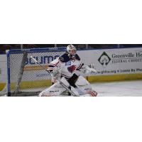 South Carolina Stingrays goaltender Angus Redmond