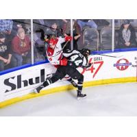 Utah Grizzlies forward RT Rice knocks an Allen American up against the boards