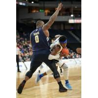 Halifax Hurricanes drive to the basket against the St. John's Edge