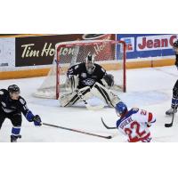 Saint John Sea Dogs goaltender Mikhail Denisov