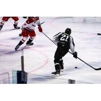 Austin Carroll of the Utah Grizzlies vs. the Allen Americans