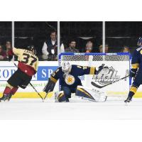 Norfolk Admirals goaltender Ty Reichenbach vs. the Atlanta Gladiators