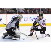 Vancouver Giants goaltender David Tendeck stops the Calgary Hitmen