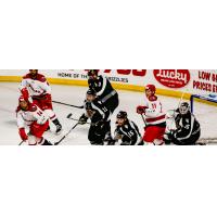 Utah Grizzlies vs. the Allen Americans in front of the Utah goal