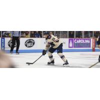 South Carolina Stingrays forward Christian Horn