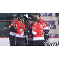 Adirondack Thunder celebrate a goal