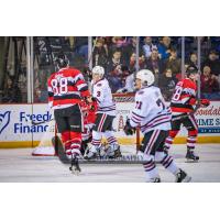 Niagara IceDogs centre Ben Jones (3) celebrates a goal against the Ottawa 67's