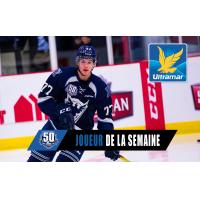 Sherbrooke Phoenix defenseman Yann-FÃ©lix Lapointe