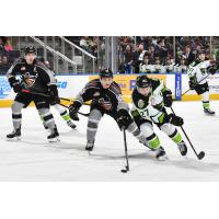 Trey Fix-Wolansky of the Edmonton Oil Kings vs. the Vancouver Giants