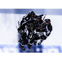 Utah Grizzlies huddle