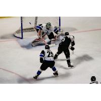 Utah Grizzlies prepare to fire a shot against the Wichita Thunder