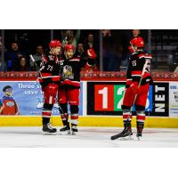 Grand Rapids Griffins celebrate a goal