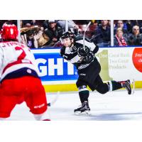 Utah Grizzlies Forward JT Henke in action