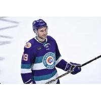 Forward Curt Gogol with the Orlando Solar Bears