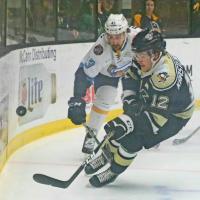 Wheeling Nailers vs. the Toledo Walleye