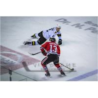 Kirill Makismov of the Niagara IceDogs against the London Knights