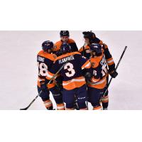 Greenville Swamp Rabbits' celebratory huddle