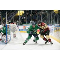 Florida Everblades defenseman Justin Wade (left) vs. the Atlanta Gladiators