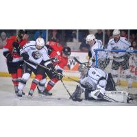 Manchester Monarchs goaltender Charles Williams tries to keep the Adirondack Thunder at bay