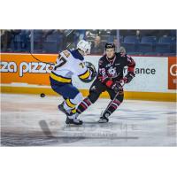 Niagara IceDogs RW Bradley Johnson (right) vs. the Erie Otters