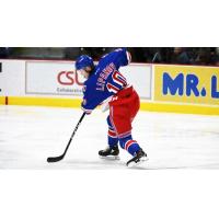 Alexey Lipanov of the Kitchener Rangers