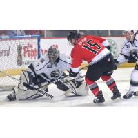 James Henry of the Adirondack Thunder tests the Manchester Monarchs goaltender