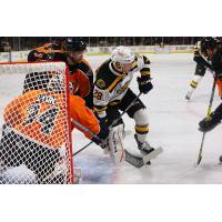 Lehigh Valley Phantoms goaltender Alex Lyon and his defense attempt to hold off the Providence Bruins