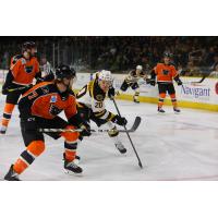 Lehigh Valley Phantoms defenseman Zach Palmquist vs. the Providence Bruins