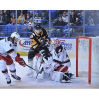 Grand Rapids Griffins goaltender Patrik Rybar vs. the Wilkes-Barre/Scranton Penguins