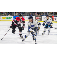 Sioux Falls Stampede defenseman Max Crozier against the Waterloo Black Hawks