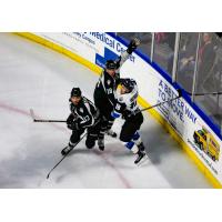 Utah Grizzlies battle the Wichita Thunder