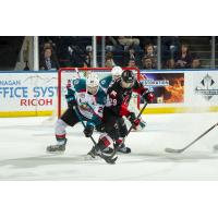 Kelowna Rockets battle the Prince George Cougars for the puck