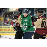 Florida Everblades forward Joe Cox (39) scraps with the Atlanta Gladiators