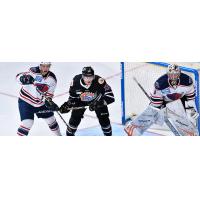 South Carolina Stingrays goaltender Angus Redmond vs. the Orlando Solar Bears