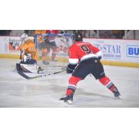 Adirondack Thunder forward Mike Szamatula faces the Norfolk Admirals goaltender