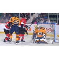 Norfolk Admirals goaltender Ty Reichenbach vs. the Adirondack Thunder