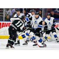 Taylor Richart of the Utah Grizzlies takes a shot against the Wichita Thunder