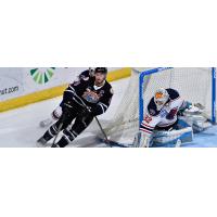 South Carolina Stingrays goaltender Gordon Defiel against the Orlando Seal Bears