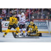 Niagara IceDogs centre Ben Jones (3) in front of the Hamilton Bulldogs goal