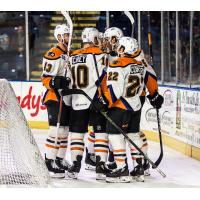 Lehigh Valley Phantoms celebrate a goal